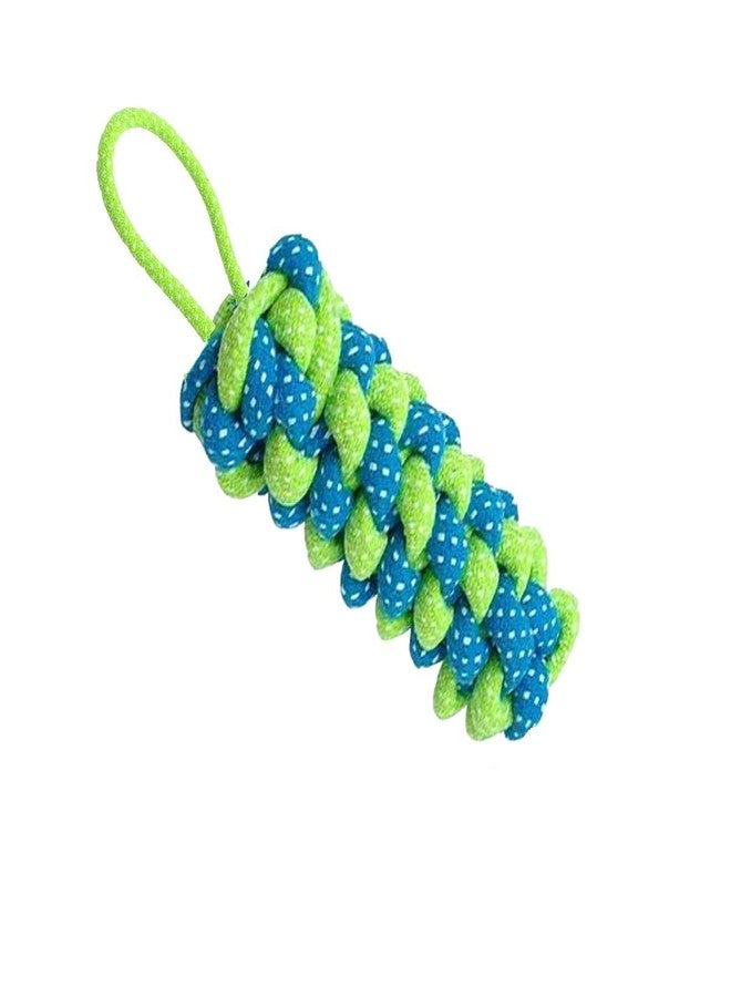 Pet Believe Combo of 3 Durable Cotton Made Rope Toys for Dogs & Puppies |2 Carrot Rope Toy | 1 Rope Dumbbell (Combo of 3) Colour May Very - Image 4